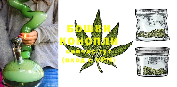 ПСИЛОЦИБИНОВЫЕ ГРИБЫ Волосово