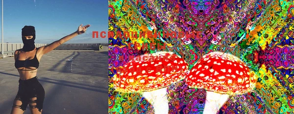ПСИЛОЦИБИНОВЫЕ ГРИБЫ Волосово