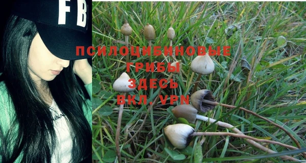 а пвп мука Володарск