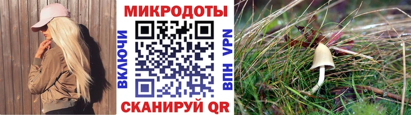 мега ССЫЛКА  Лобня  Галлюциногенные грибы Psilocybine cubensis  как найти наркотики 